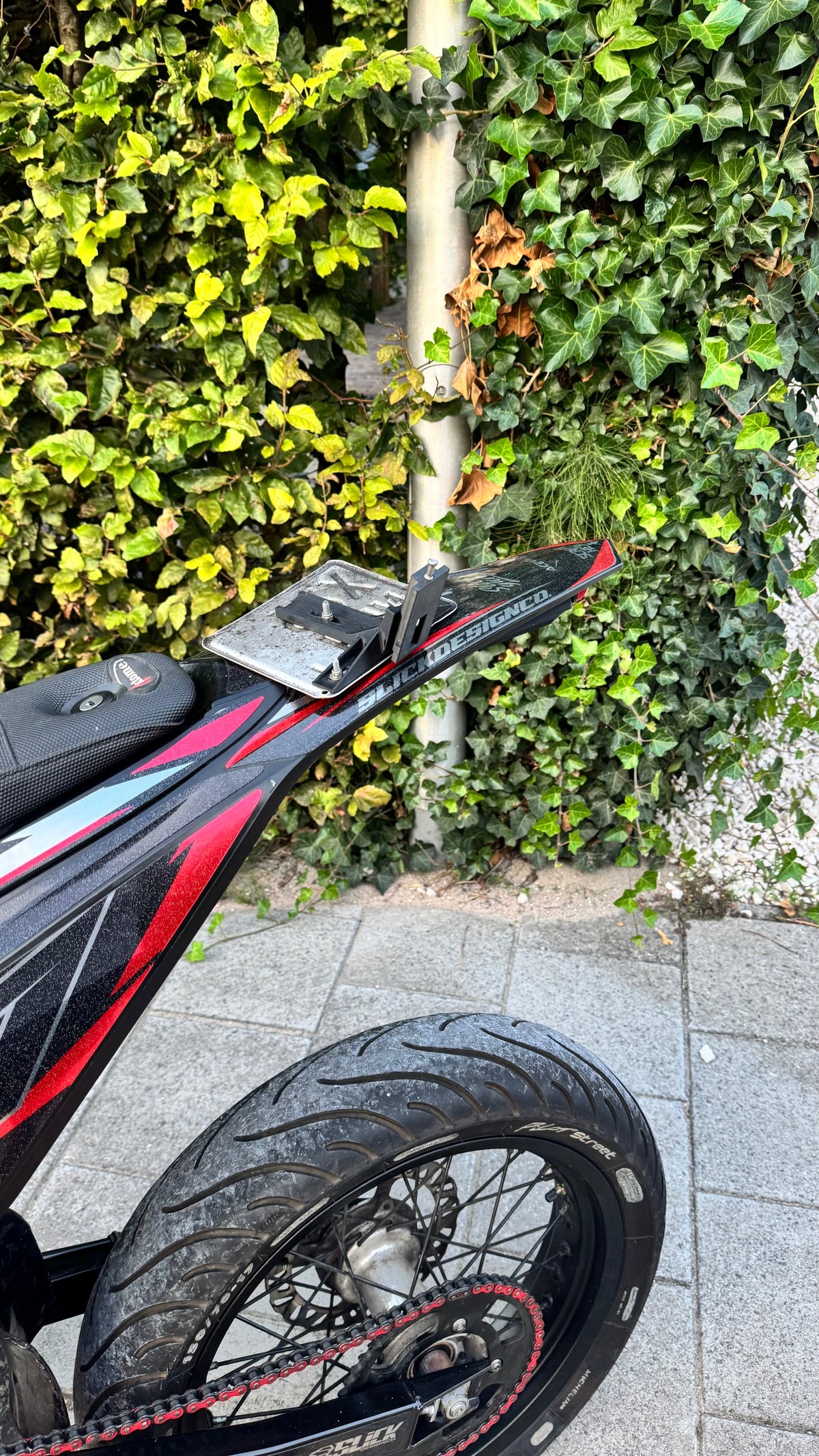 REMOVABLE LICENSE PLATE HOLDERS